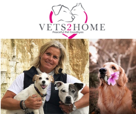 Vets2Home – Peaceful Pet Goodbyes (7days/week 9am-9pm)