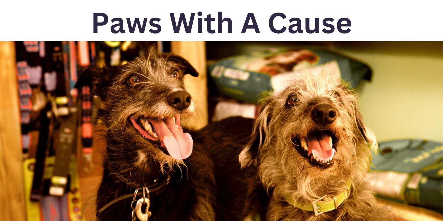 Paws with a Cause