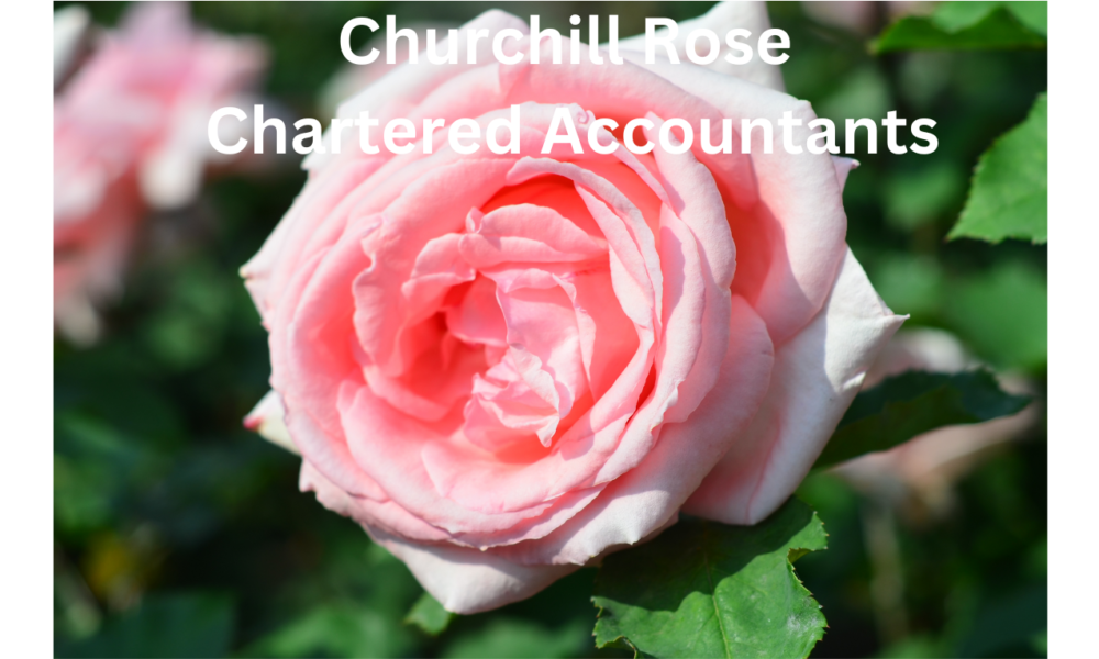 Churchill Rose – Brighton & Hove