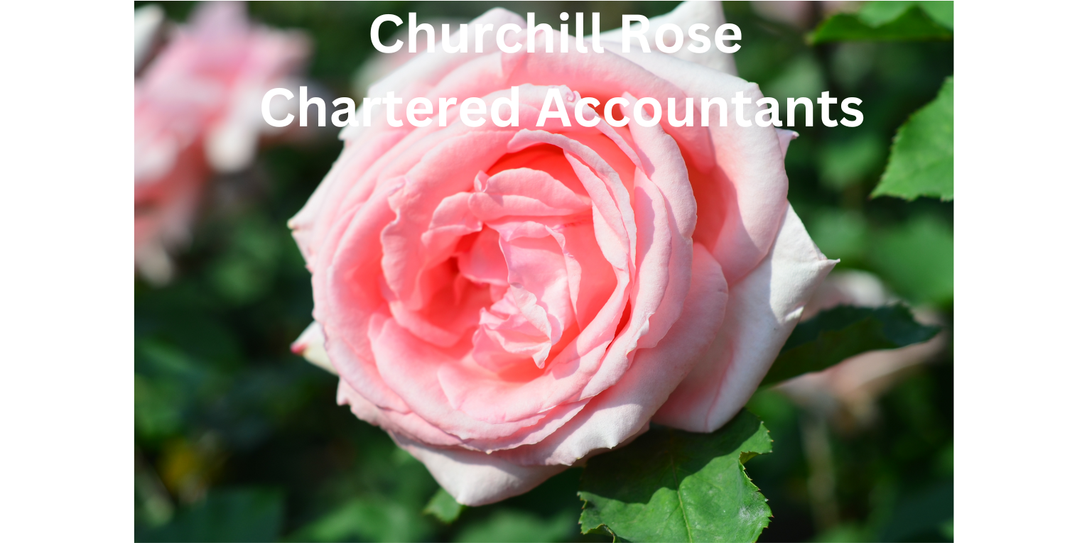 Churchill Rose – Brighton & Hove